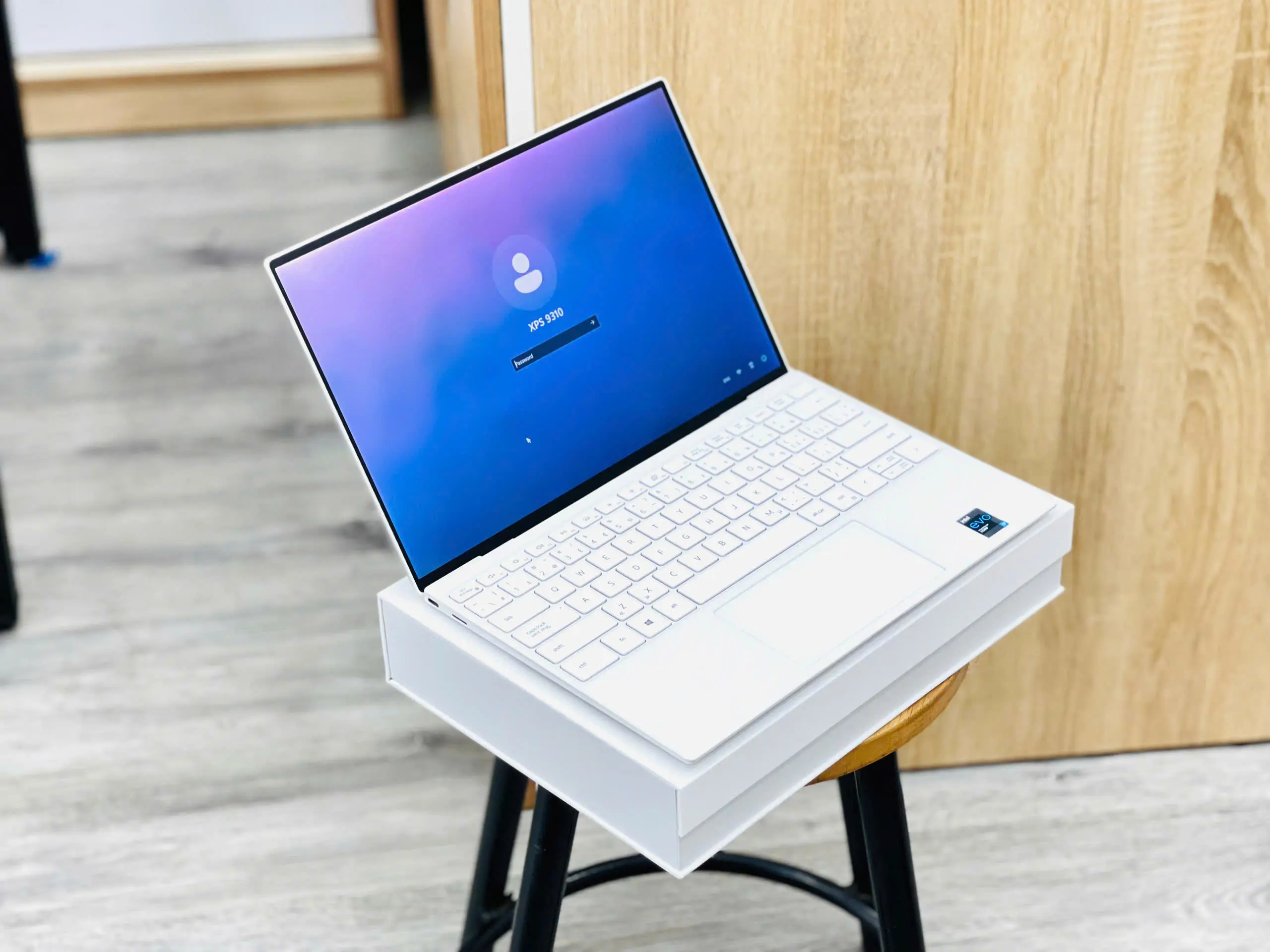 DELL XPS 9310 (FROST WHITE)